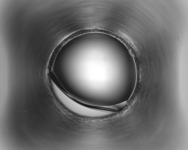 X0000095130876200712211328