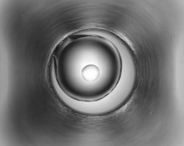 X0000095130877200712211328