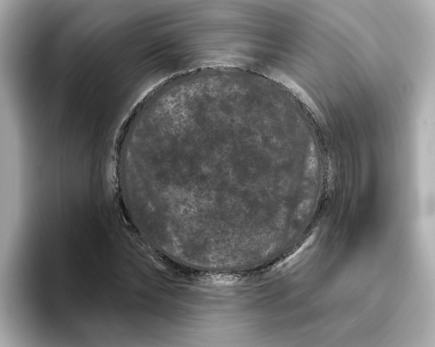 X0000095130878200712211328