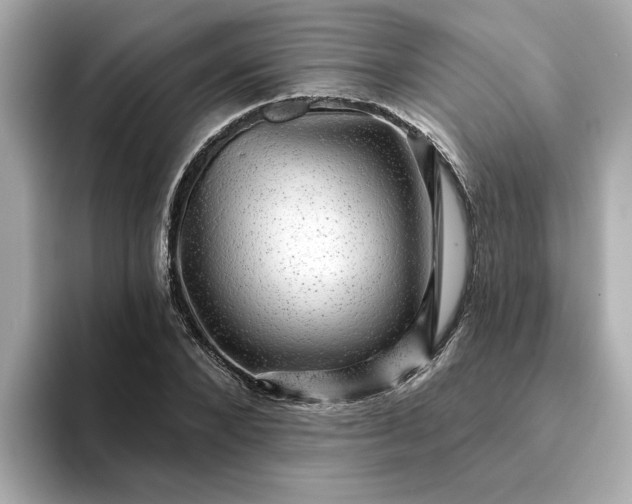 X0000095130880200712211328