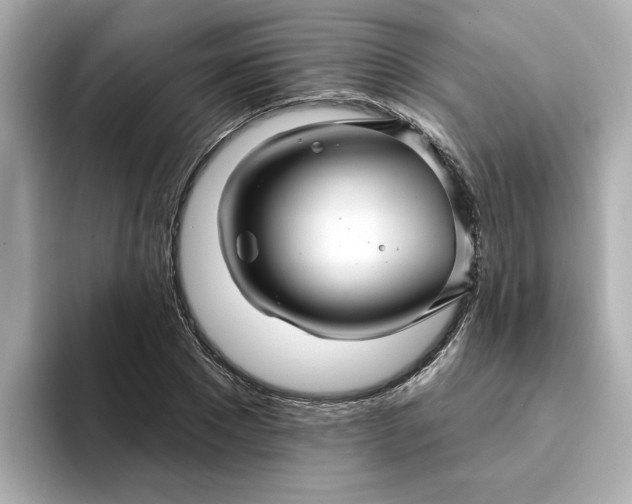 X0000095130881200712211328