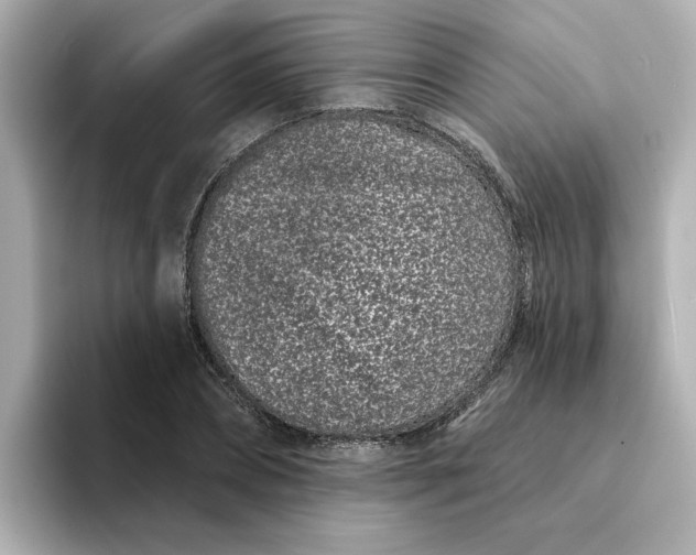 X0000095130882200712211328