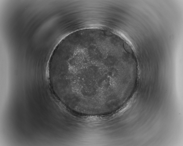 X0000095130883200712211328