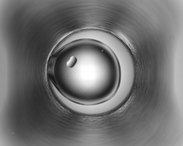 X0000095130884200712211328