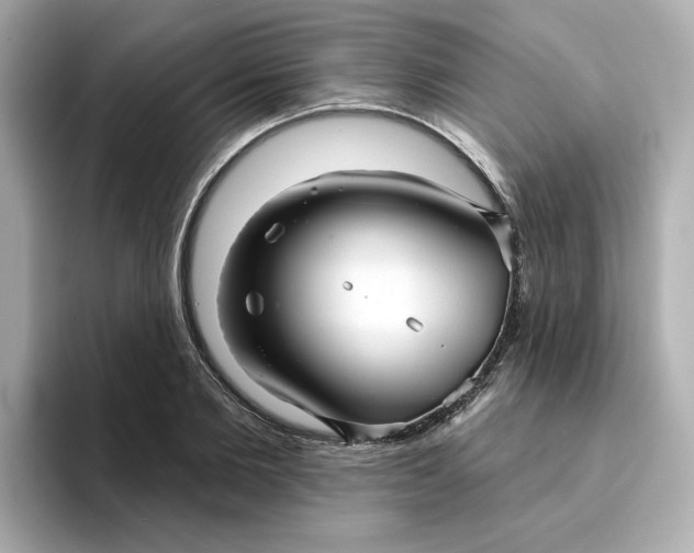 X0000095130885200712211328