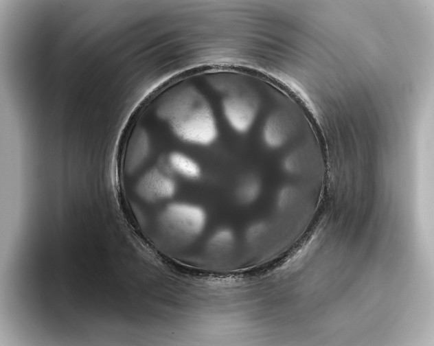 X0000095130887200712211327