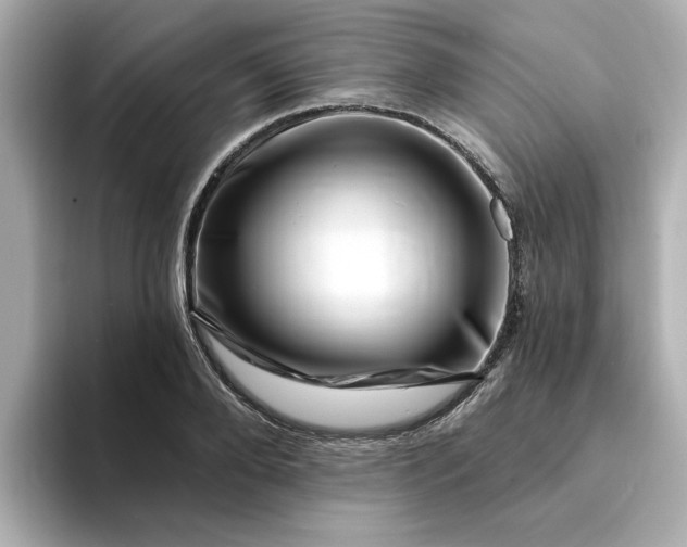 X0000095130888200712211327