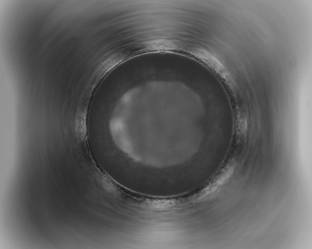 X0000095130889200712211327