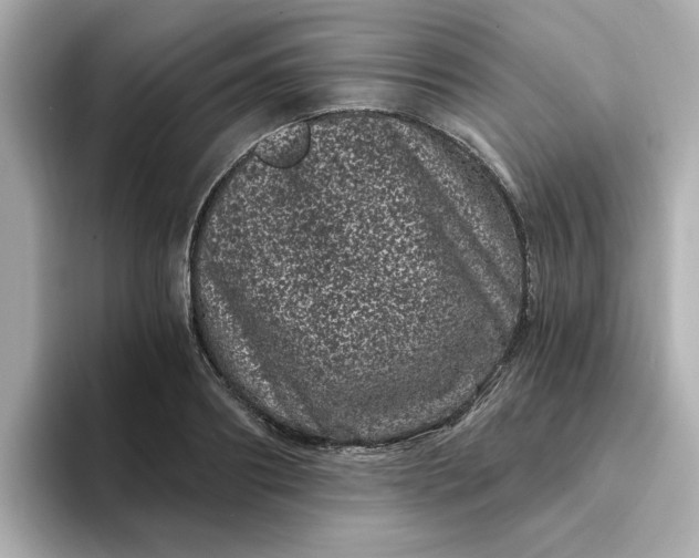 X0000095130890200712211327