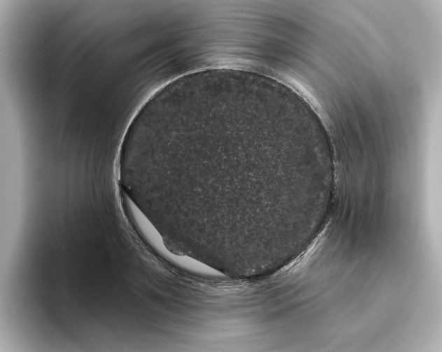 X0000095130891200712211327