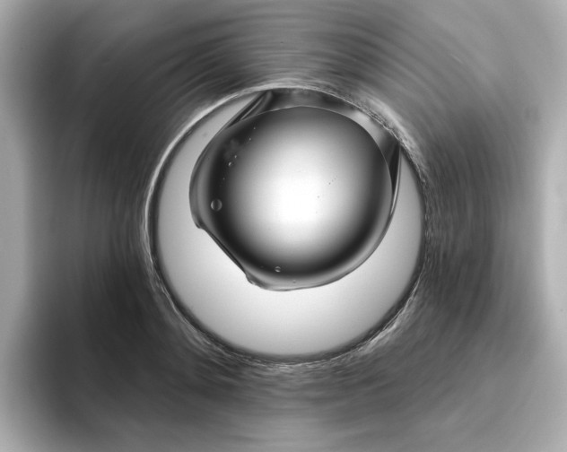 X0000095130892200712211327