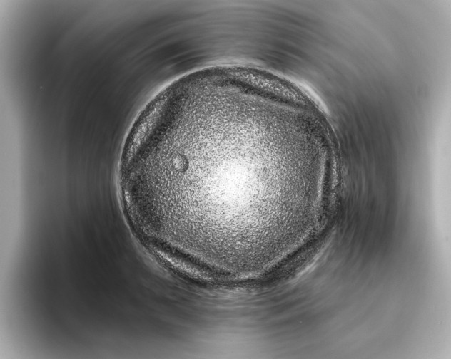 X0000095130895200712211327