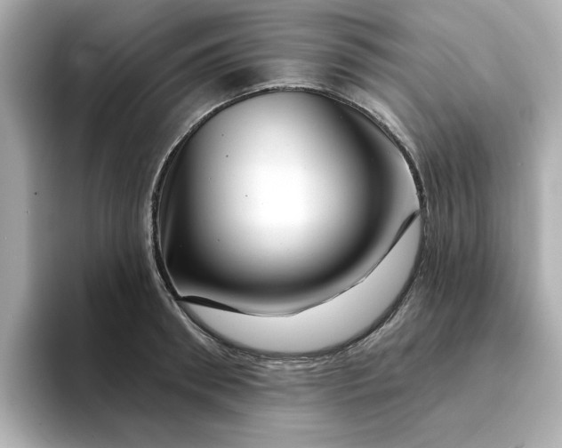 X0000095130898200712211327