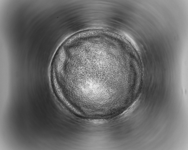 X0000095130899200712211327