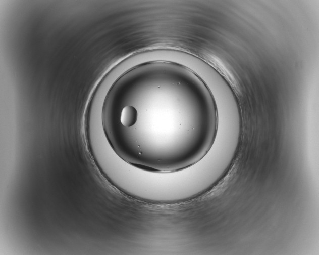 X0000095130900200712211327