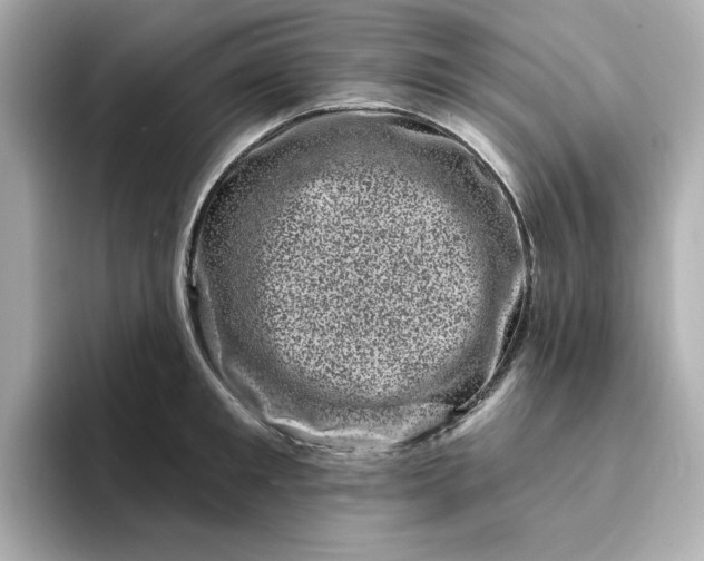 X0000095130901200712211327