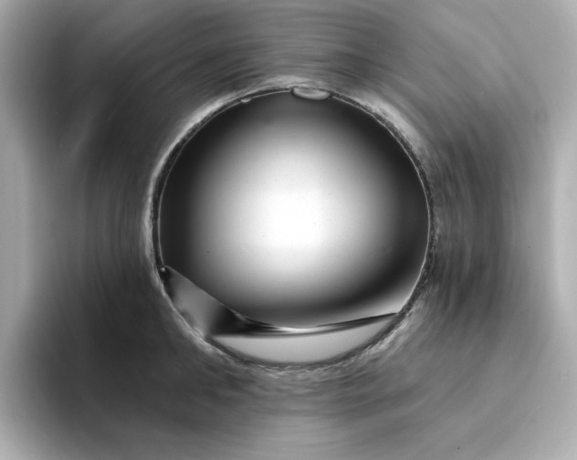 X0000095130902200712211327