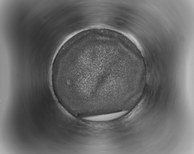 X0000095130903200712211327