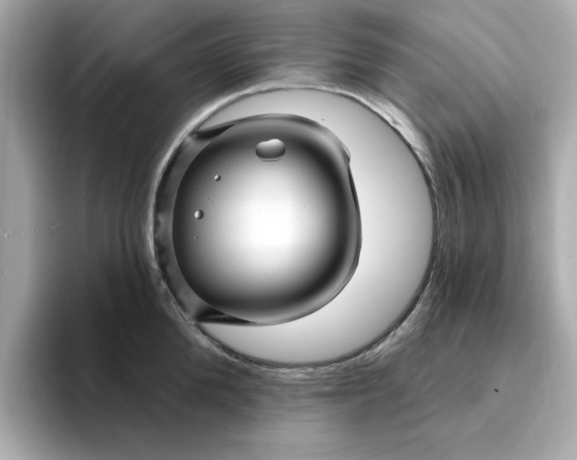 X0000095130904200712211327