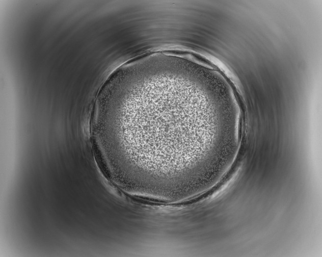 X0000095130905200712211327