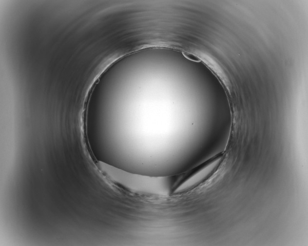 X0000095130906200712211327