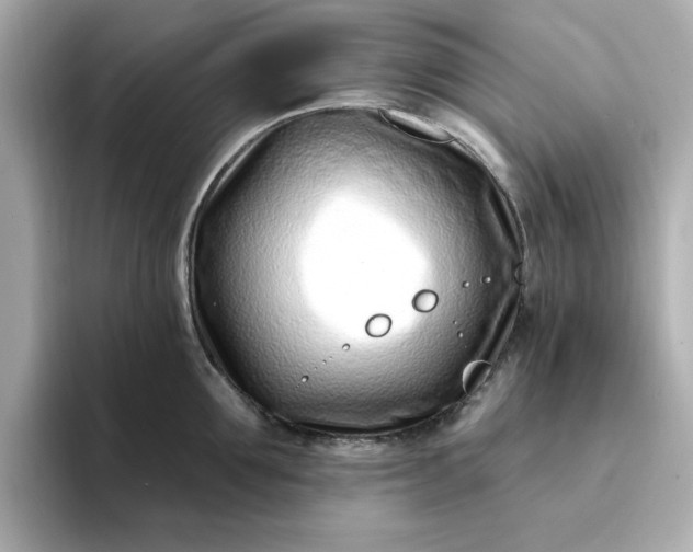 X0000095130907200712211327