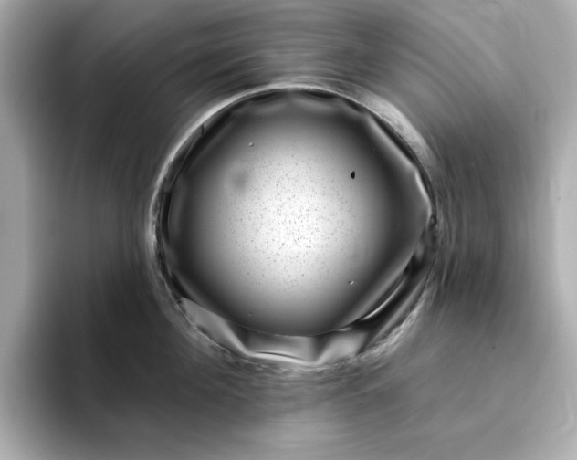 X0000095130908200712211327