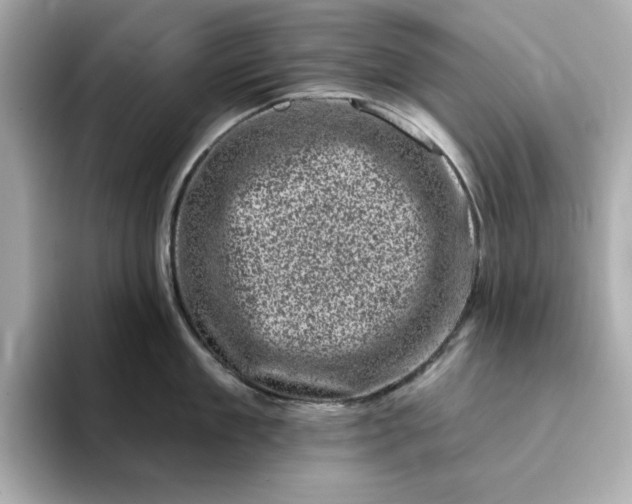 X0000095130909200712211327