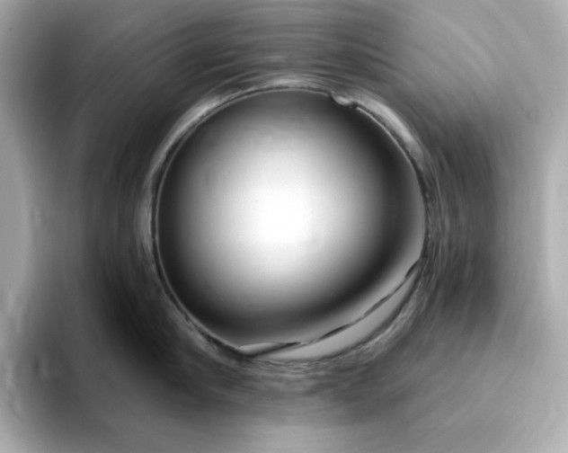 X0000095130910200712211327