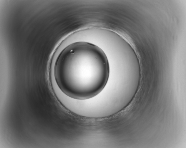 X0000095130912200712211327