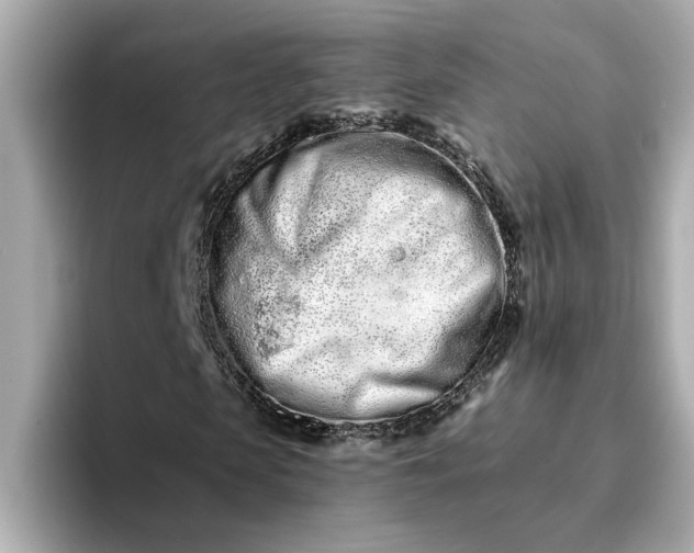 X0000095130913200712211327