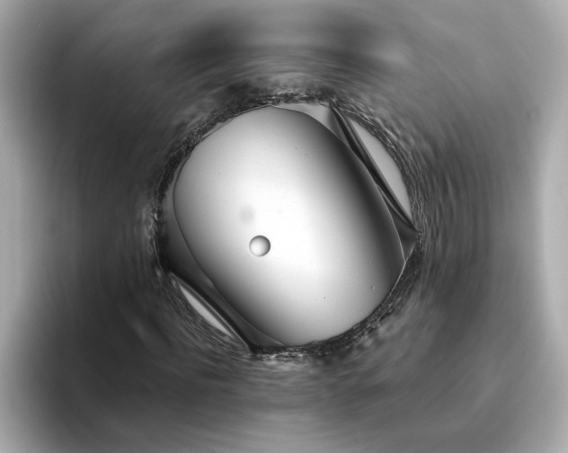 X0000095130916200712211327