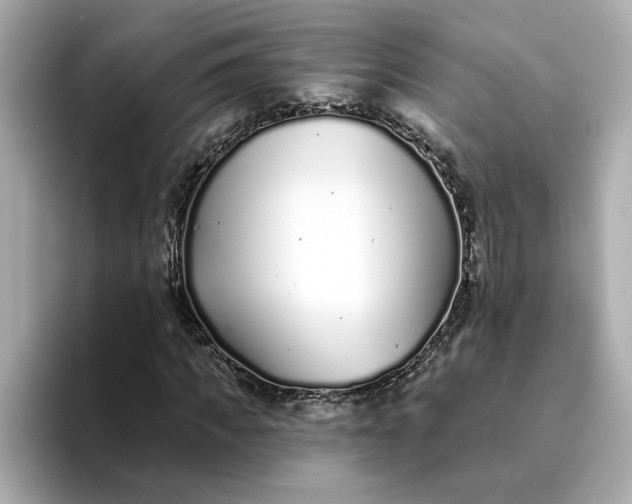 X0000095130917200712211327