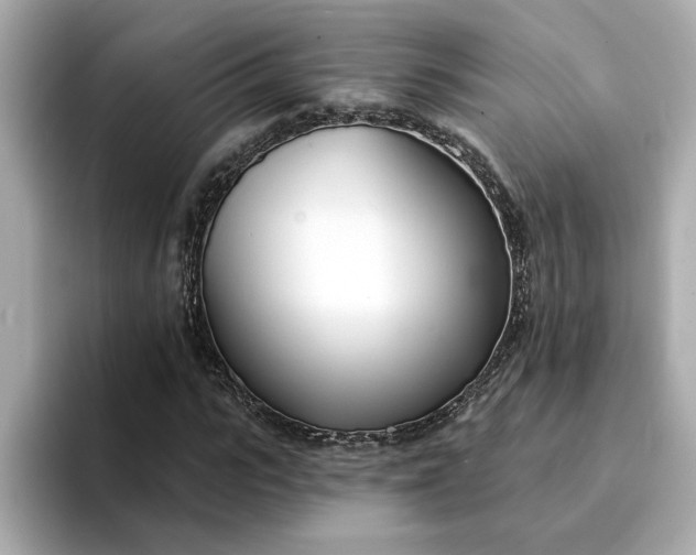 X0000095130919200712211327