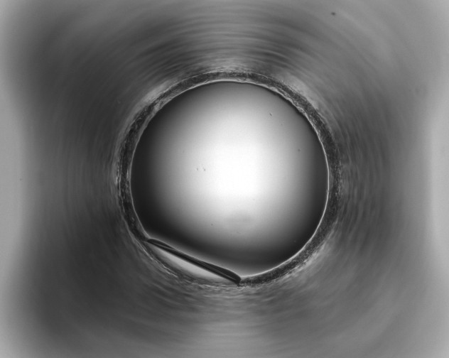 X0000095130922200712211327