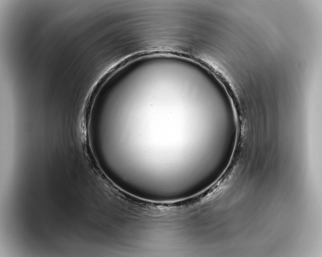 X0000095130925200712211327