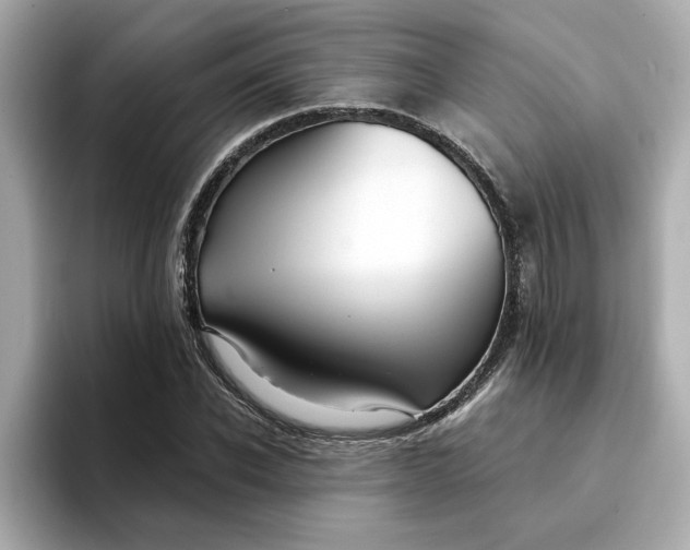 X0000095130926200712211327