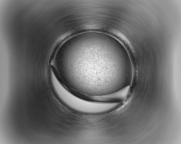 X0000095130930200712211327