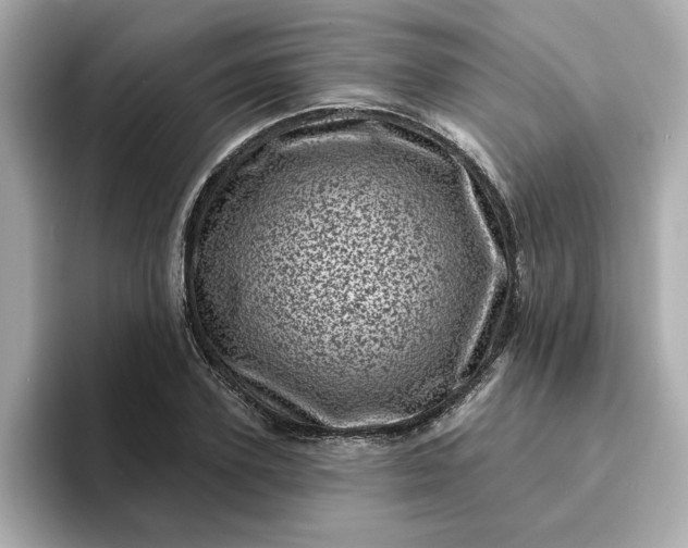 X0000095130931200712211327