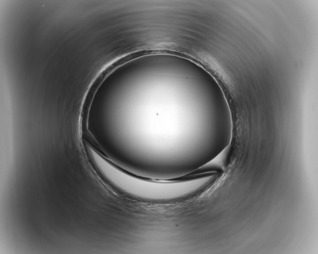 X0000095130932200712211327