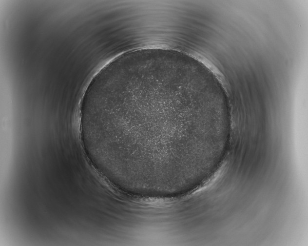 X0000095130933200712211327