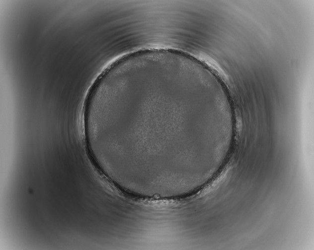 X0000095130934200712211327