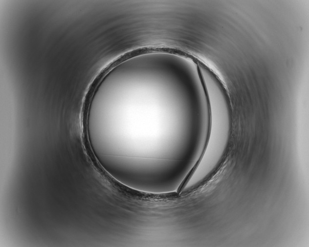 X0000095130935200712211327