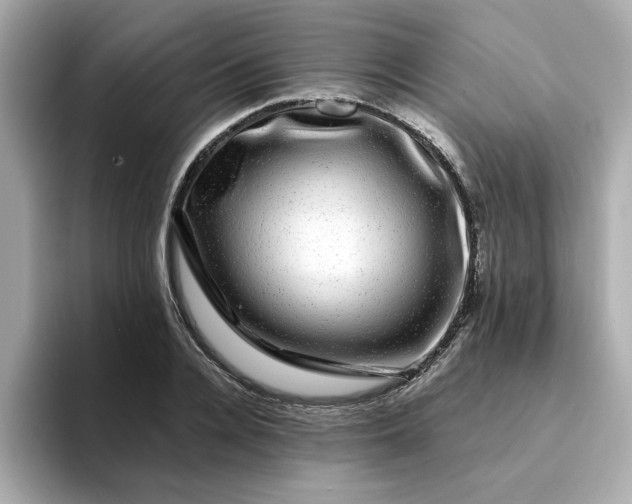 X0000095130936200712211327