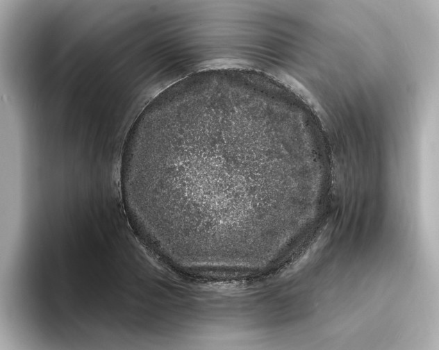 X0000095130937200712211327