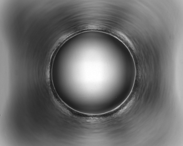 X0000095130938200712211327