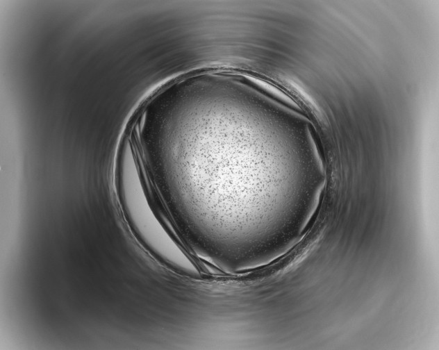 X0000095130940200712211327