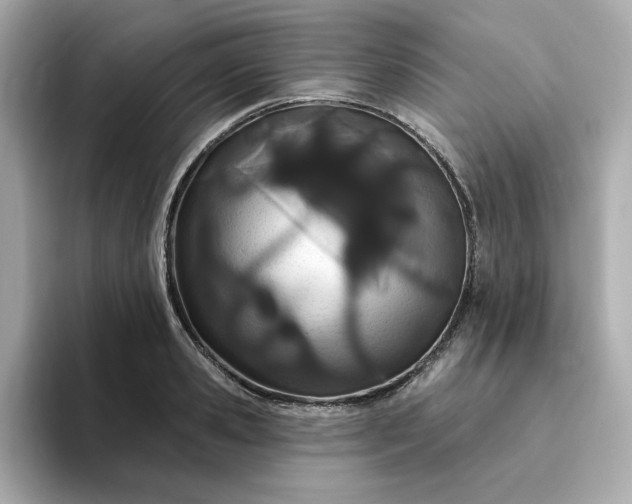 X0000095130941200712211327