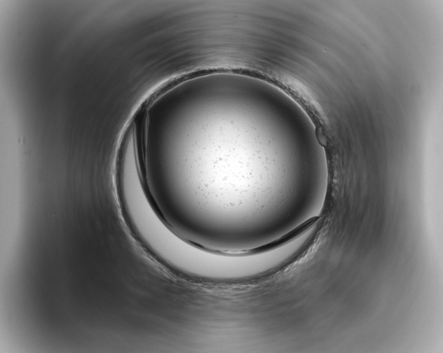 X0000095130942200712211327