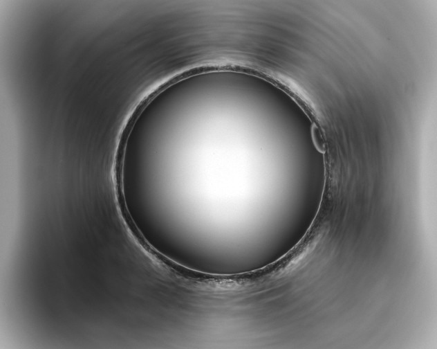 X0000095130943200712211327